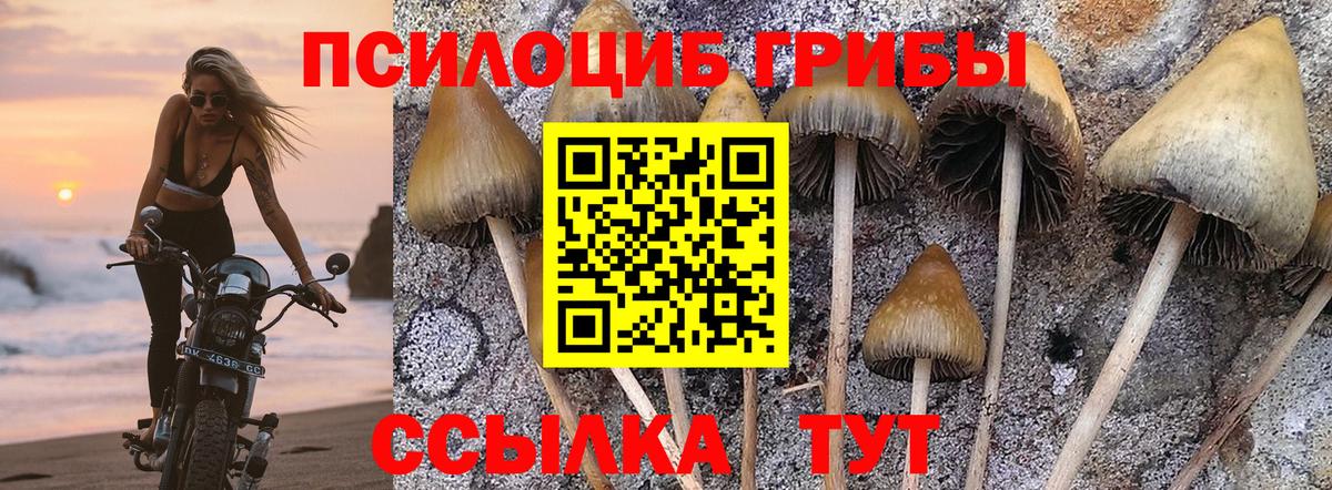 Мелеуз  Псилоцибиновые грибы ЛСД  Вход с VPN 